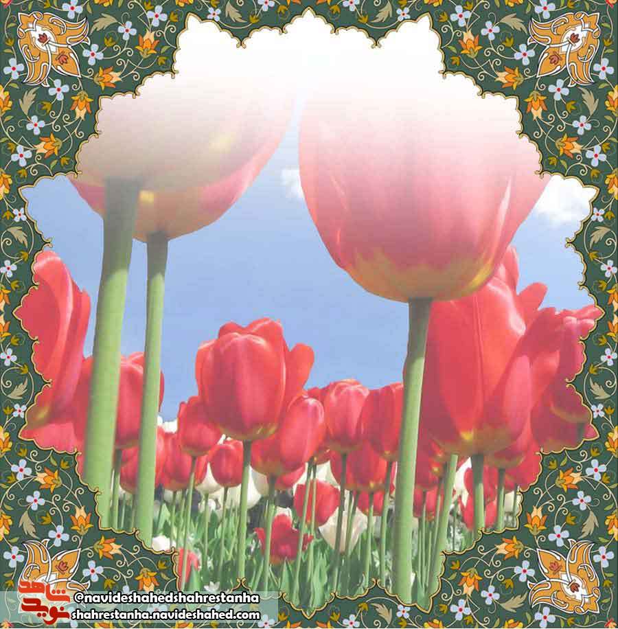 شهید اصغر آژیرایرلو