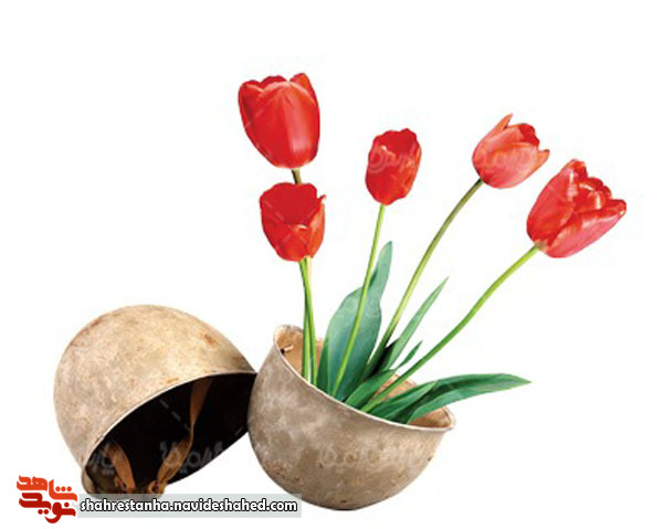 شور حسینی در سر داشت