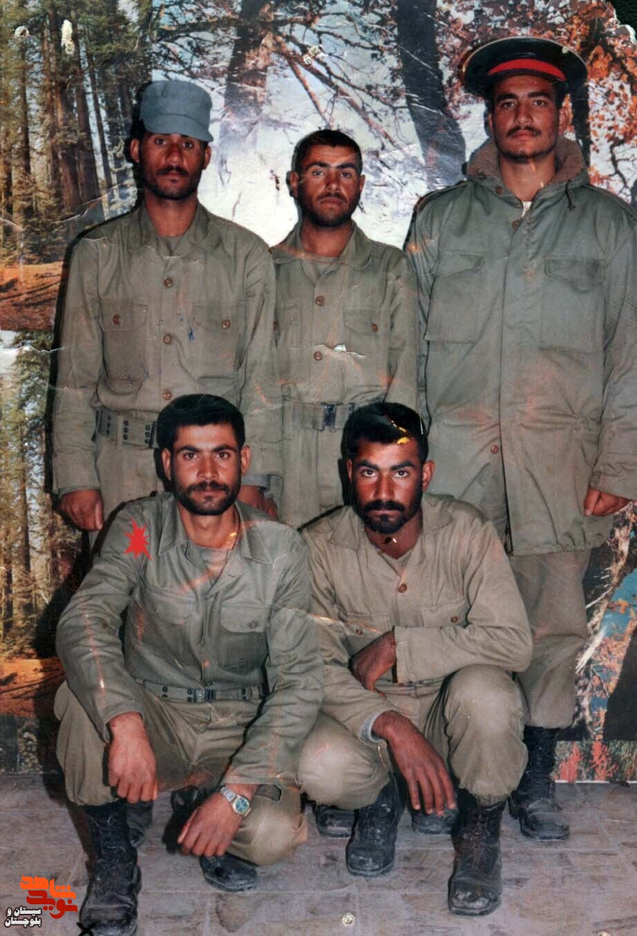 آلبوم تصاویر شهید«احمد صیاداربابی» منتشر شد