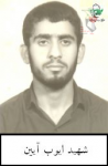 شهید ایوب آیین