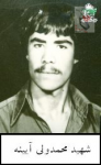 شهید محمد ولی آئینه